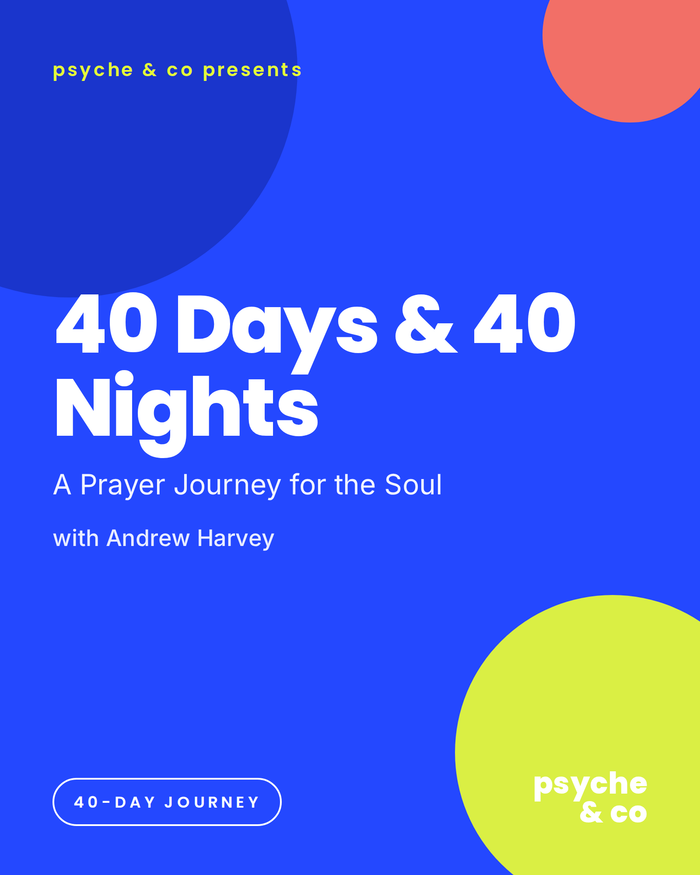 40 Days & 40 Nights: A Prayer Journey for the Soul