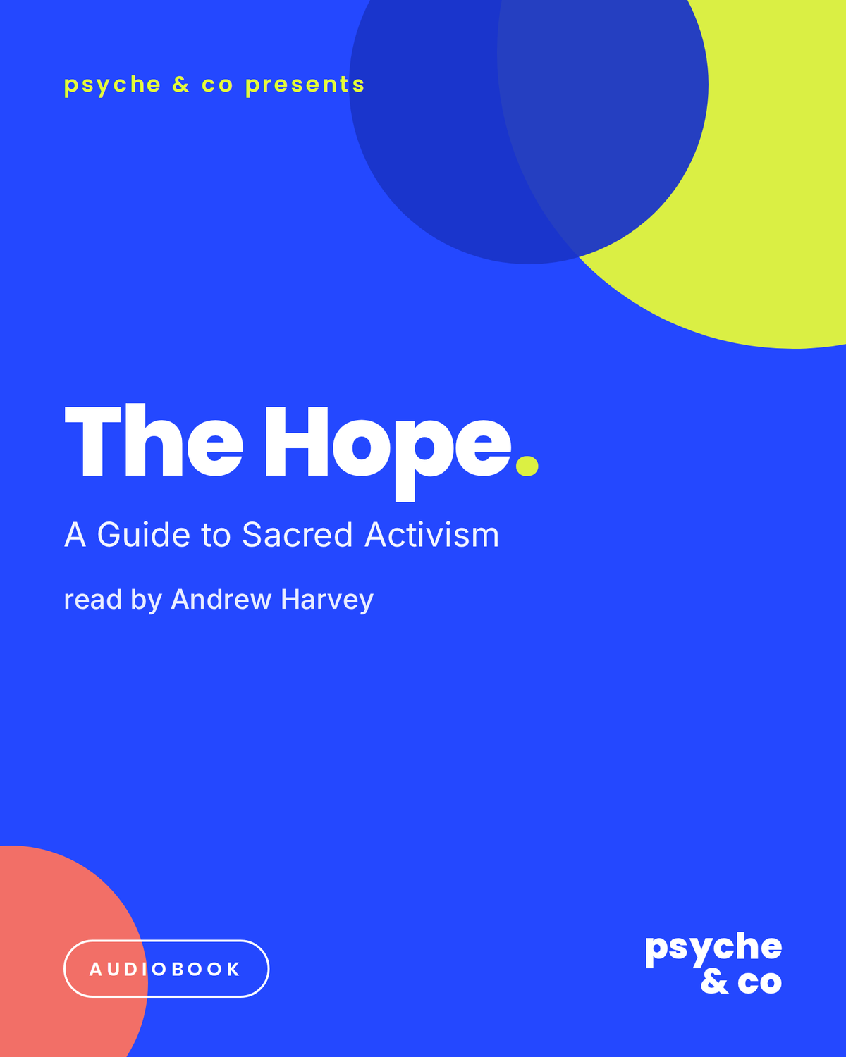 The Hope: Audio Book
