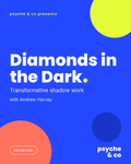 Diamonds in the Dark — Psyche & Co. cover
