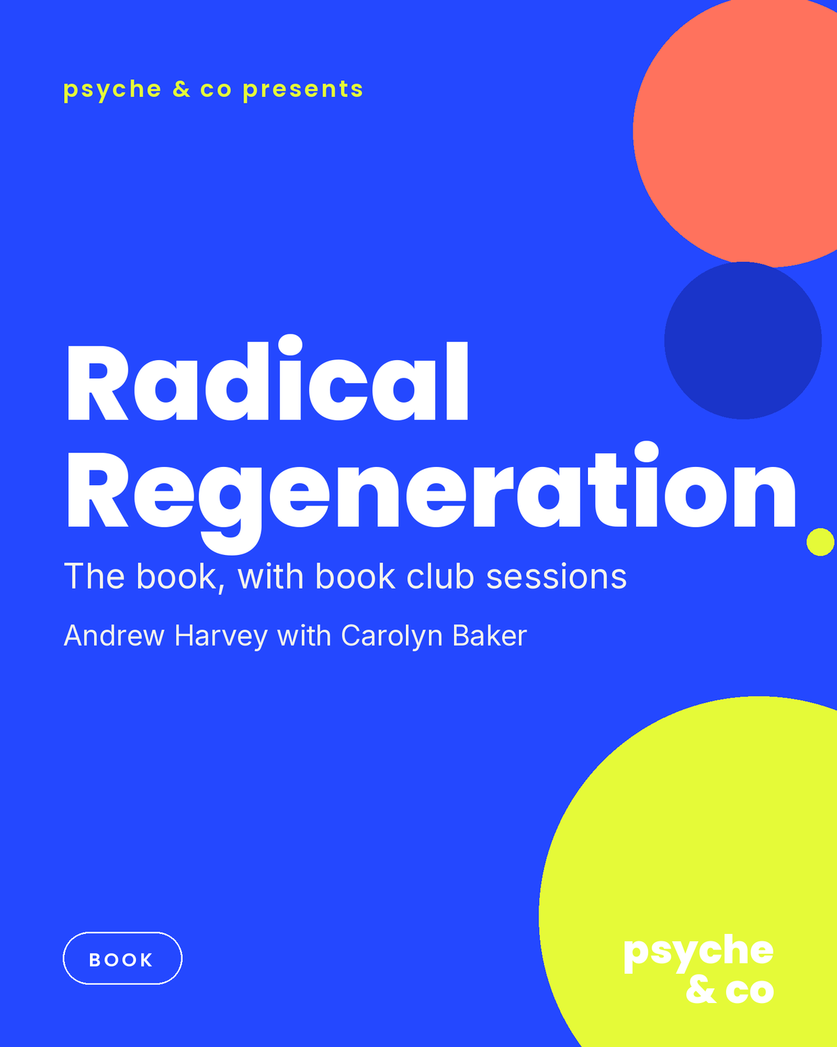 Radical Regeneration: The Book — Psyche & Co. cover