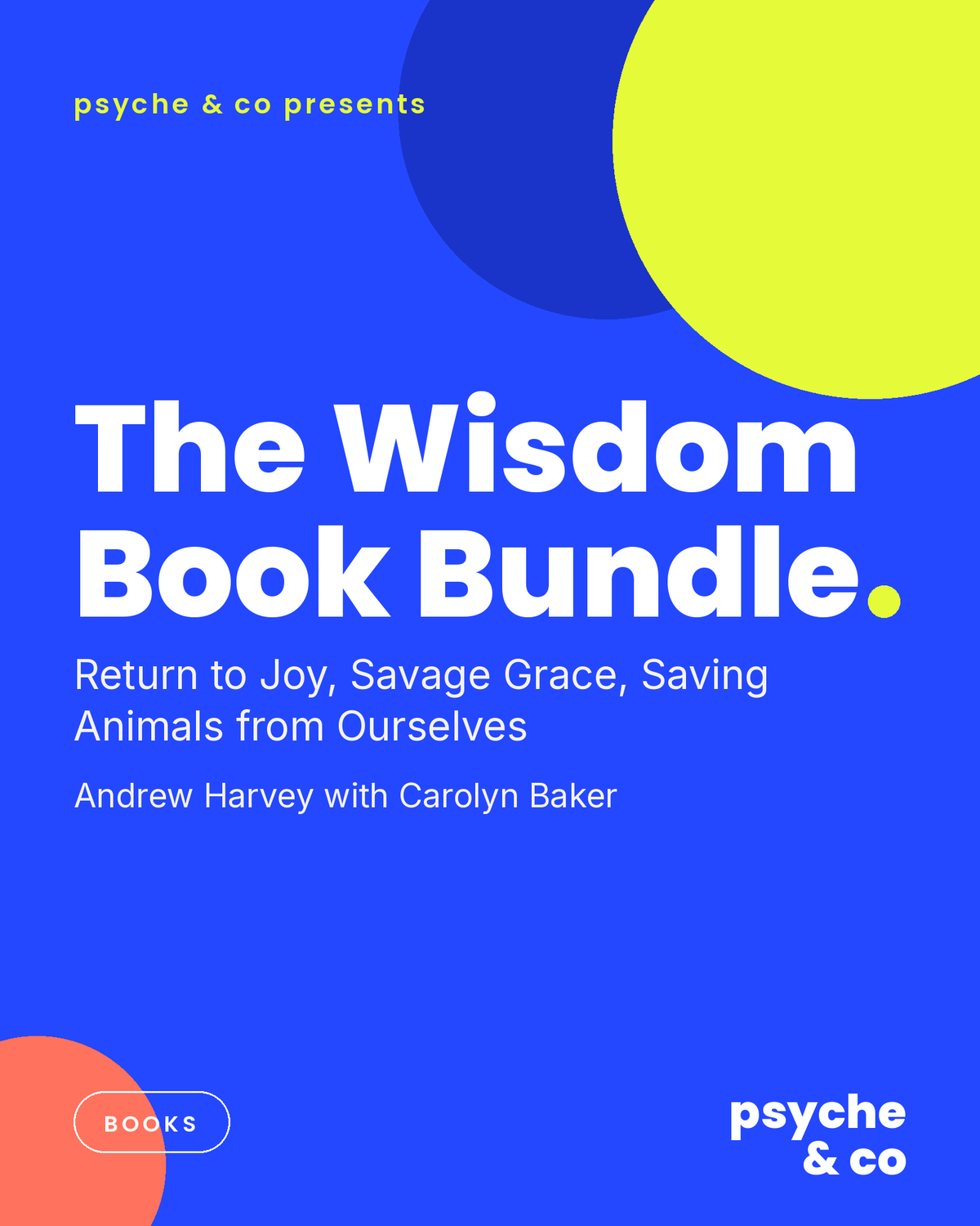 The Wisdom Book Bundle — Psyche & Co. cover