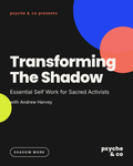 Transforming The Shadow: Essential Self Work For Sacred Activists